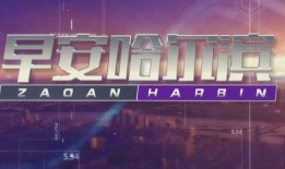 景洪新闻头条爆料视频,独家爆料视频揭示惊人内幕